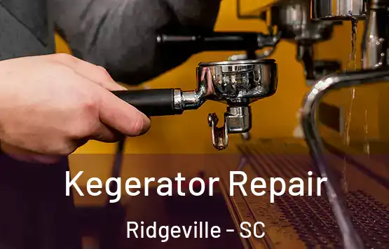  Kegerator Repair Ridgeville - SC
