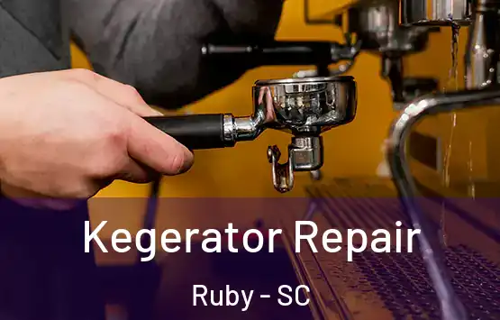  Kegerator Repair Ruby - SC