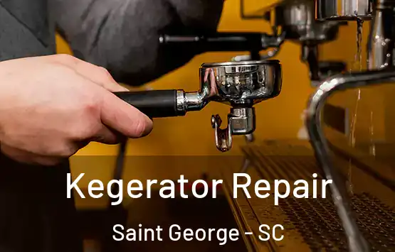  Kegerator Repair Saint George - SC