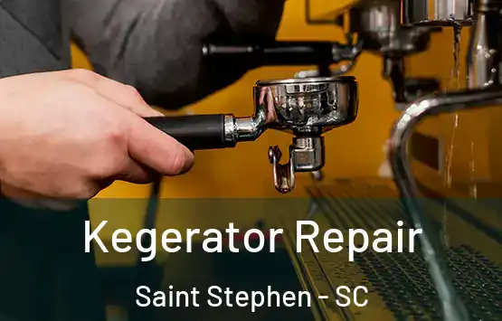  Kegerator Repair Saint Stephen - SC