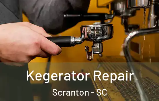  Kegerator Repair Scranton - SC