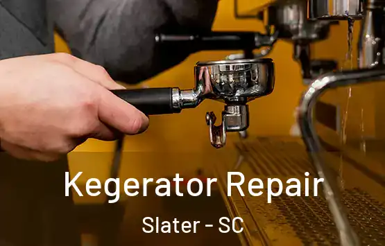  Kegerator Repair Slater - SC