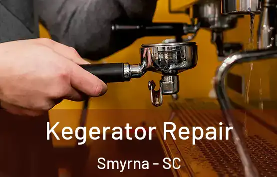  Kegerator Repair Smyrna - SC