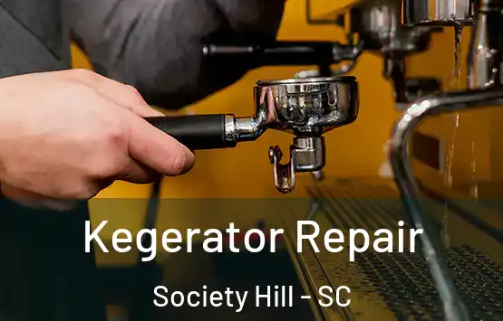 Kegerator Repair Society Hill - SC