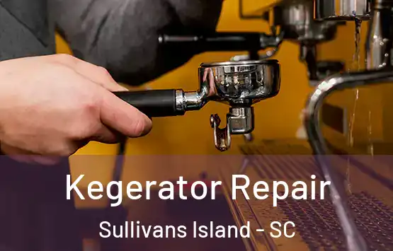  Kegerator Repair Sullivans Island - SC