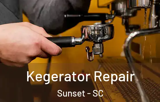  Kegerator Repair Sunset - SC
