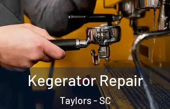  Kegerator Repair Taylors - SC