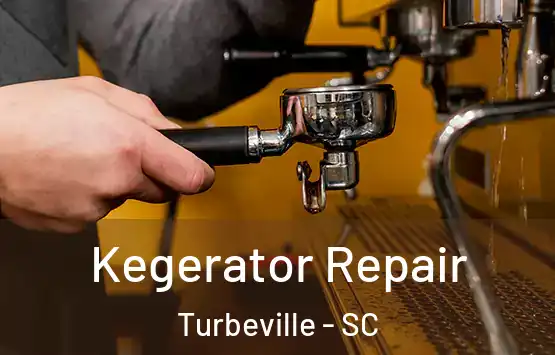  Kegerator Repair Turbeville - SC