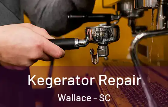  Kegerator Repair Wallace - SC