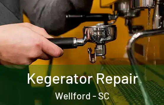  Kegerator Repair Wellford - SC