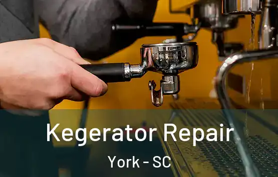  Kegerator Repair York - SC