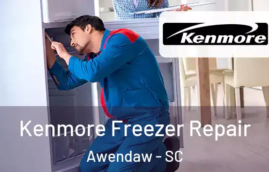  Kenmore Freezer Repair Awendaw - SC