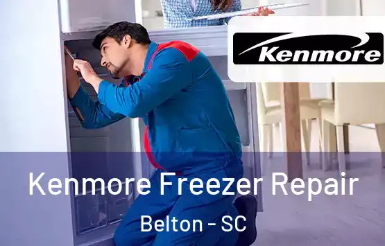  Kenmore Freezer Repair Belton - SC