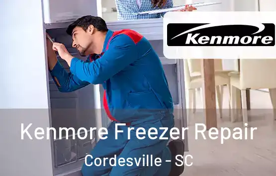  Kenmore Freezer Repair Cordesville - SC