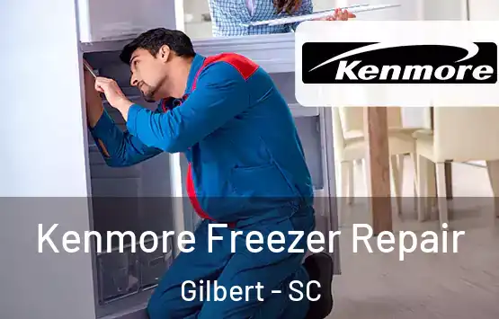  Kenmore Freezer Repair Gilbert - SC