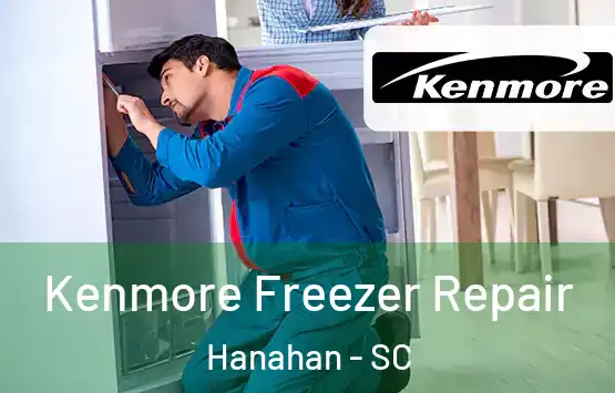  Kenmore Freezer Repair Hanahan - SC
