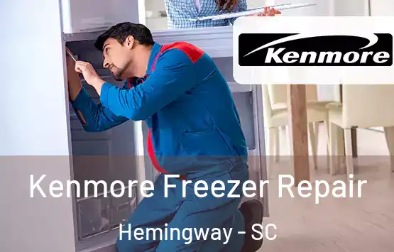  Kenmore Freezer Repair Hemingway - SC