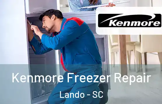  Kenmore Freezer Repair Lando - SC