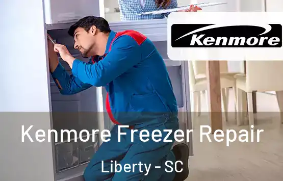  Kenmore Freezer Repair Liberty - SC