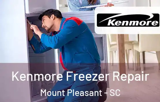  Kenmore Freezer Repair Mount Pleasant - SC