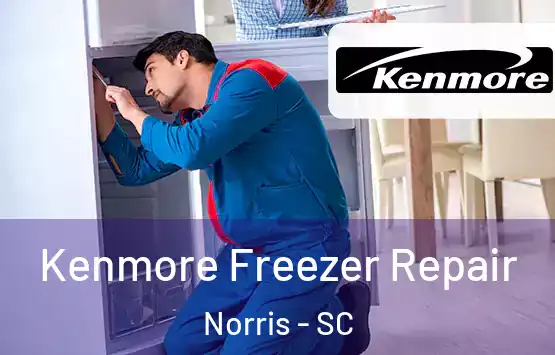  Kenmore Freezer Repair Norris - SC