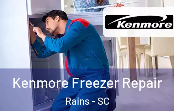  Kenmore Freezer Repair Rains - SC
