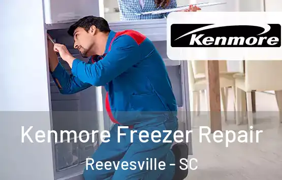  Kenmore Freezer Repair Reevesville - SC