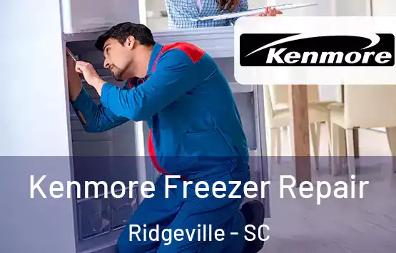  Kenmore Freezer Repair Ridgeville - SC