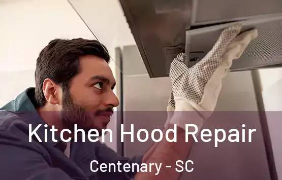  Kitchen Hood Repair Centenary - SC