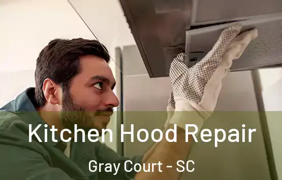  Kitchen Hood Repair Gray Court - SC
