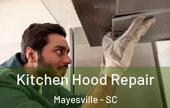  Kitchen Hood Repair Mayesville - SC