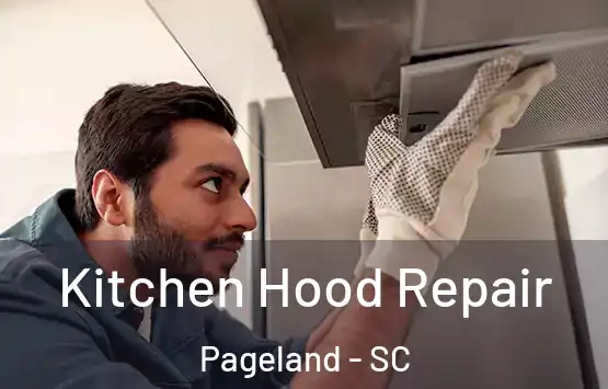  Kitchen Hood Repair Pageland - SC