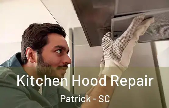  Kitchen Hood Repair Patrick - SC