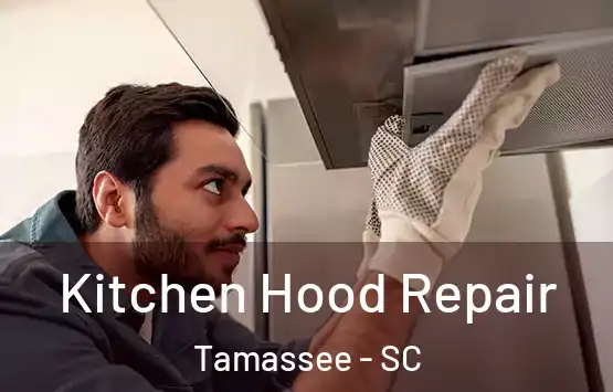  Kitchen Hood Repair Tamassee - SC