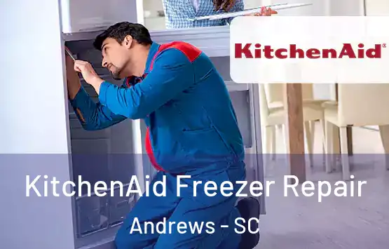  KitchenAid Freezer Repair Andrews - SC