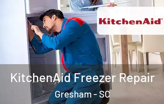  KitchenAid Freezer Repair Gresham - SC