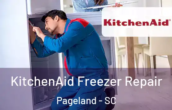  KitchenAid Freezer Repair Pageland - SC