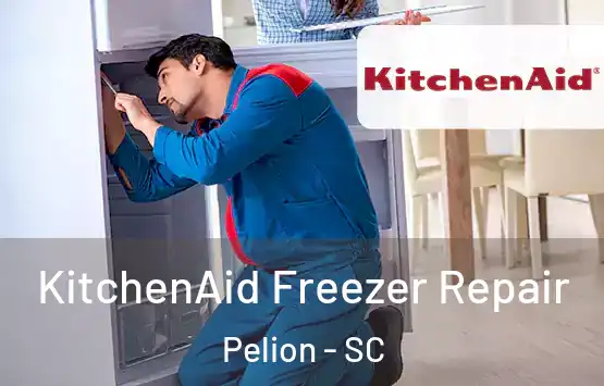  KitchenAid Freezer Repair Pelion - SC