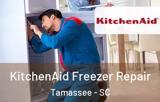  KitchenAid Freezer Repair Tamassee - SC