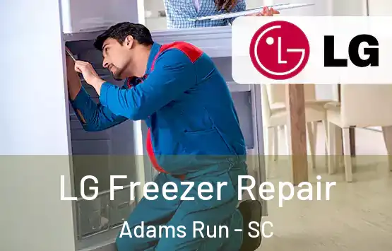  LG Freezer Repair Adams Run - SC