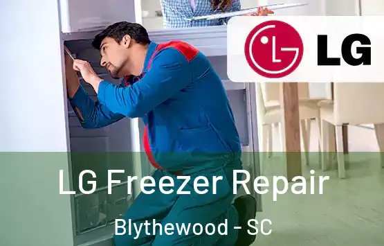  LG Freezer Repair Blythewood - SC