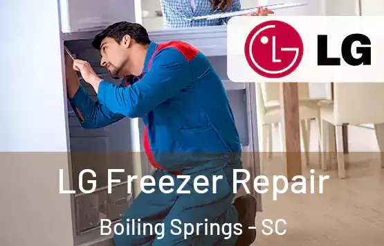  LG Freezer Repair Boiling Springs - SC