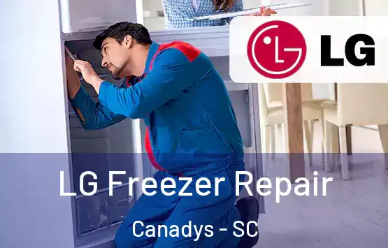  LG Freezer Repair Canadys - SC