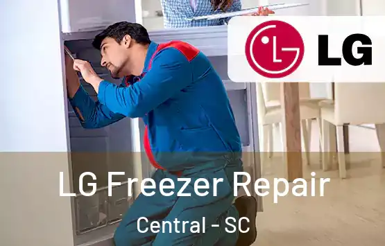 LG Freezer Repair Central - SC