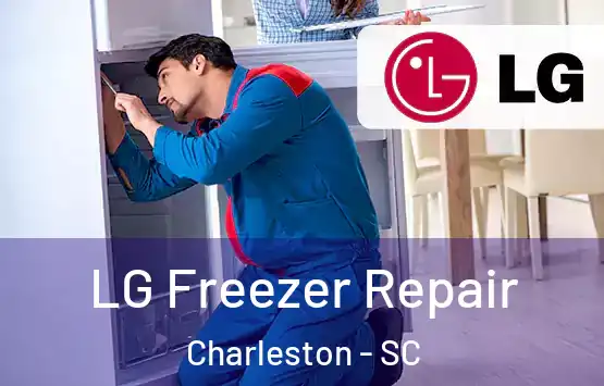  LG Freezer Repair Charleston - SC