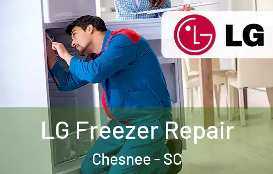  LG Freezer Repair Chesnee - SC