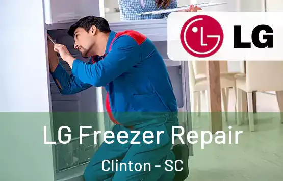  LG Freezer Repair Clinton - SC