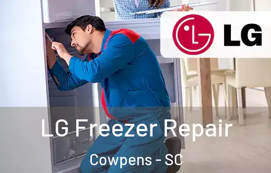  LG Freezer Repair Cowpens - SC