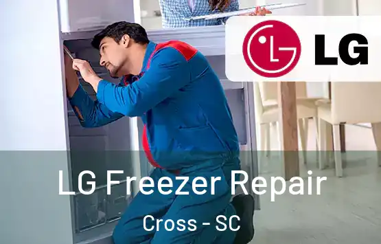  LG Freezer Repair Cross - SC