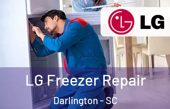  LG Freezer Repair Darlington - SC